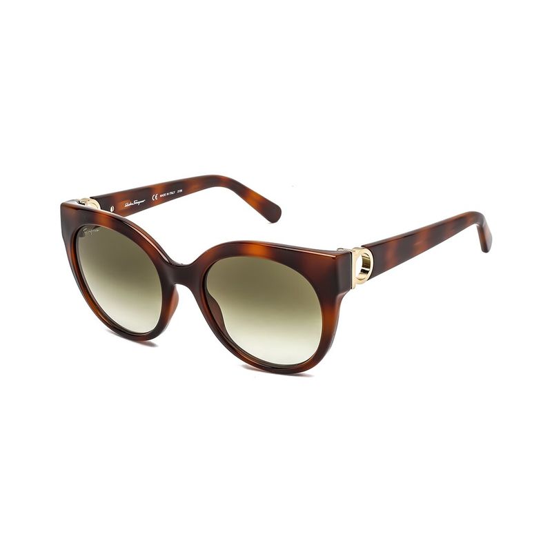 Ferragamo Women's Sf1031s 53mm Sunglasses, Brown